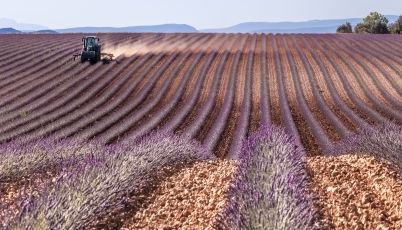 Agriculture