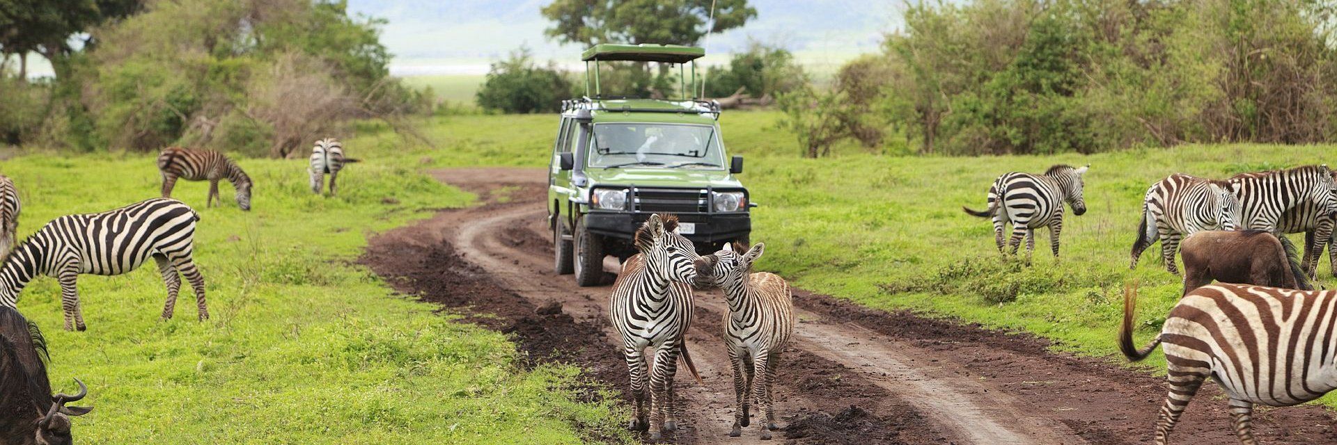 Safaris Kenya et Tanzanie