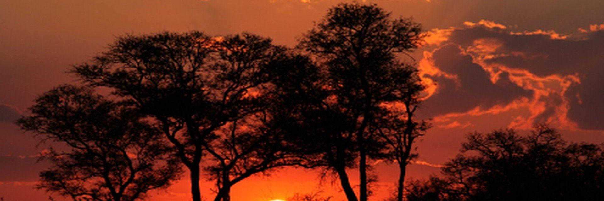 Safaris Kenya et Tanzanie