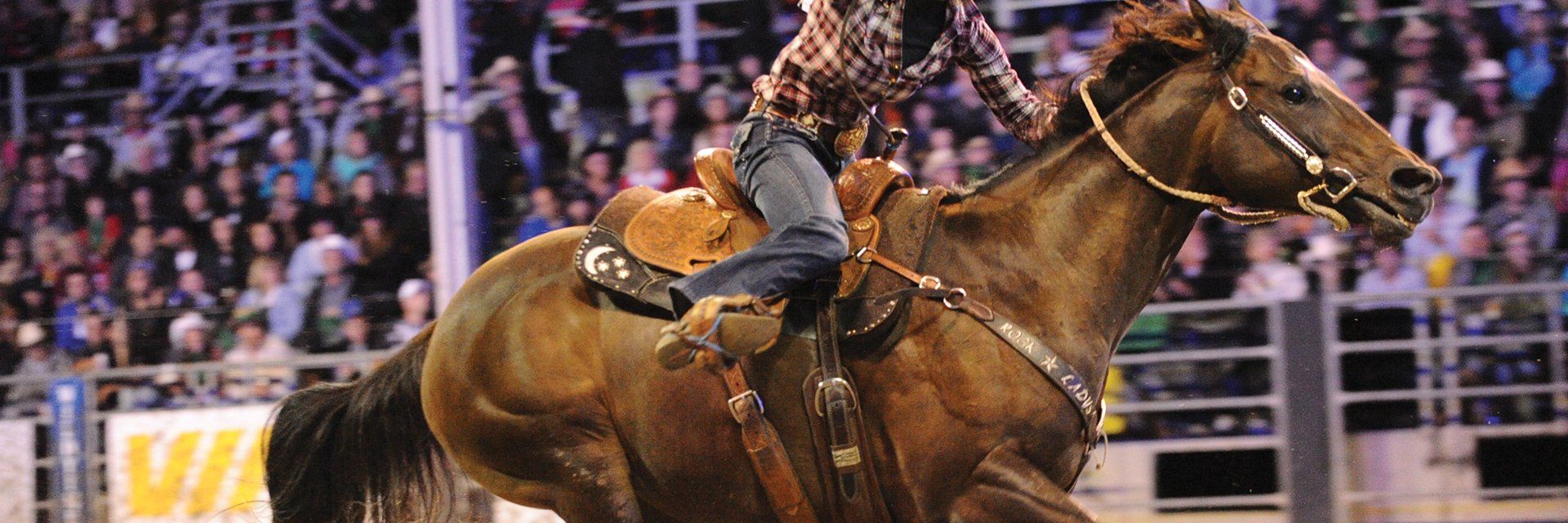 Festival Western et Rodéo