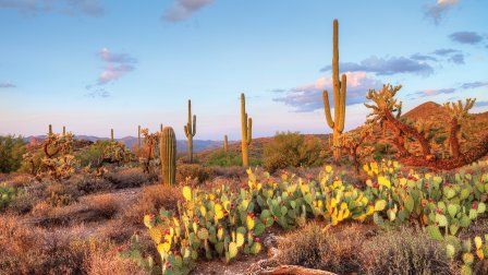 Arizona et splendeurs du Far West