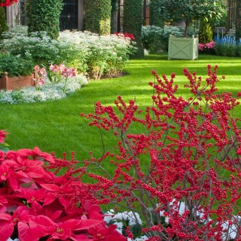 Jardins de Longwood à Noël
