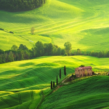 Saveurs d'Italie