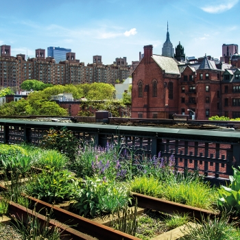 Les jardins secrets de New York