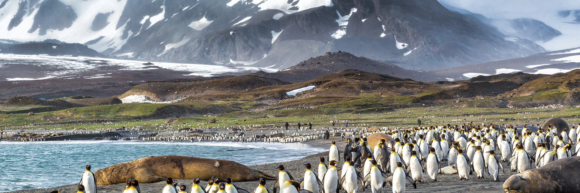 Croisière en Amérique du Sud Groupe