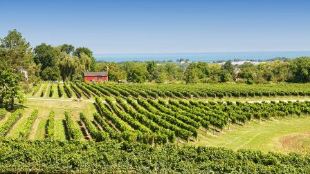 Jardins de Buffalo, Niagara et Rochester