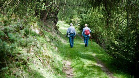 Le Chemin de Compostelle - Camino Espagnol