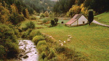Le Chemin de Compostelle - Camino Espagnol