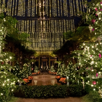Jardins de Longwood à Noël