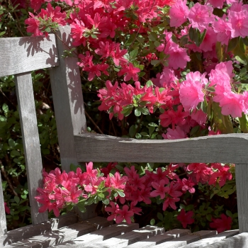Jardins du Saguenay avec Larry Hodgson
