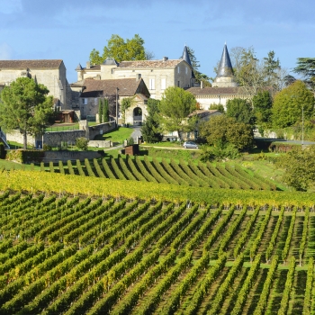 Vélo et péniche dans les vignobles bordelais
